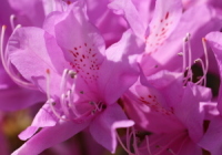 1