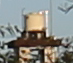 eXg